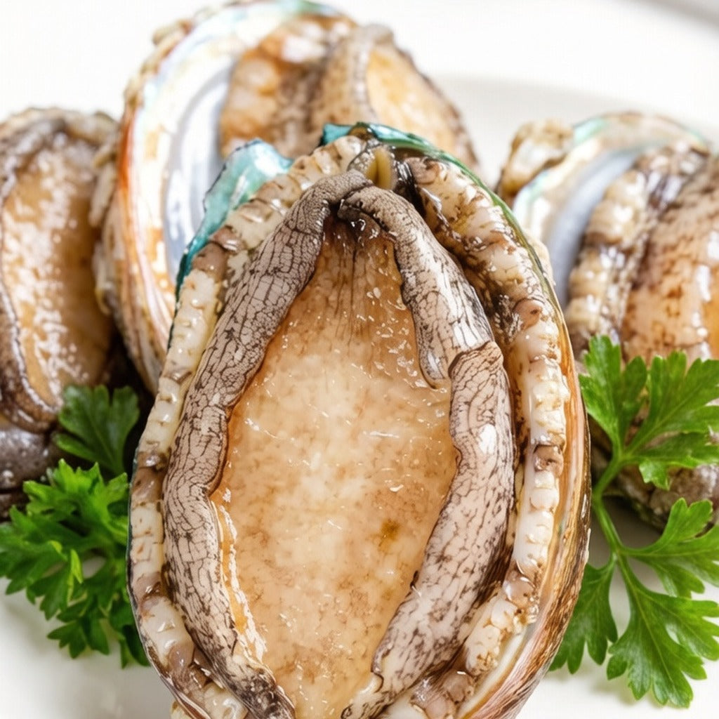 Raw whole abalone in shells on a white plate with parsley